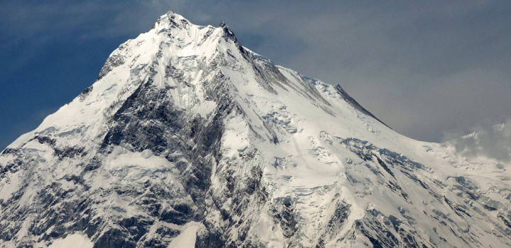 Himalayan