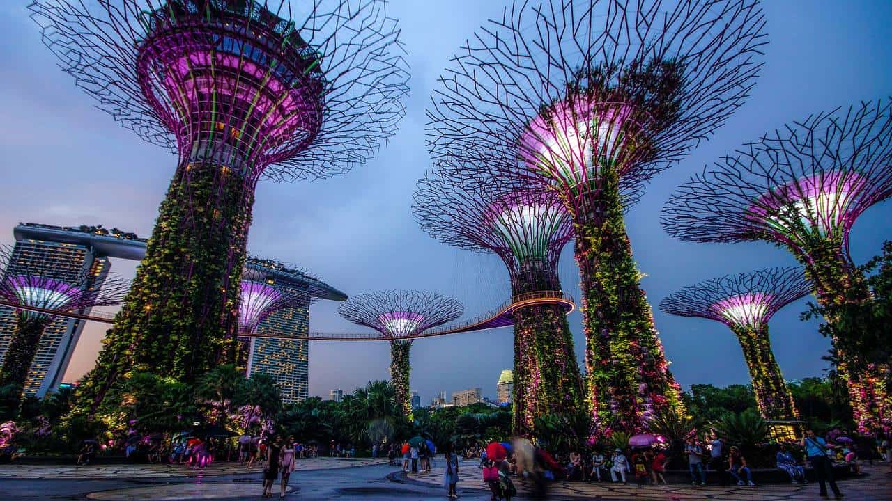 Top 5 Parks You Have to Check Out in Singapore