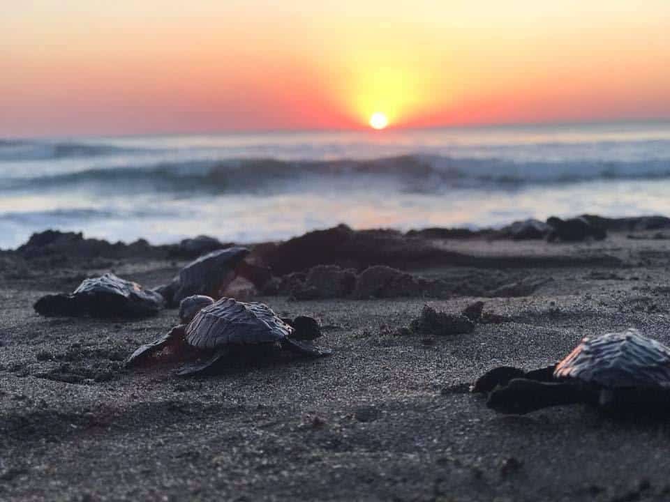 The Hidden Gem of Central America: Luxury Beachfront Homes in Nicaragua
