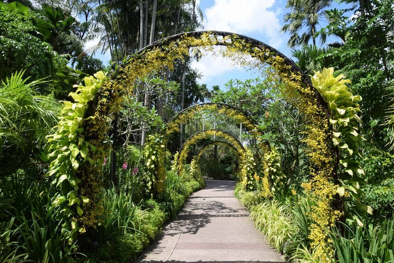 Top 5 Parks You Have to Check Out in Singapore