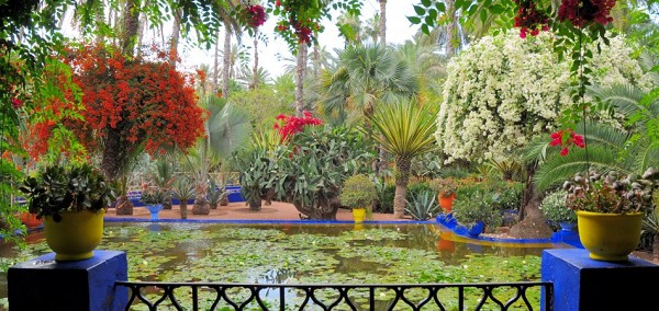 Moroccan Magic