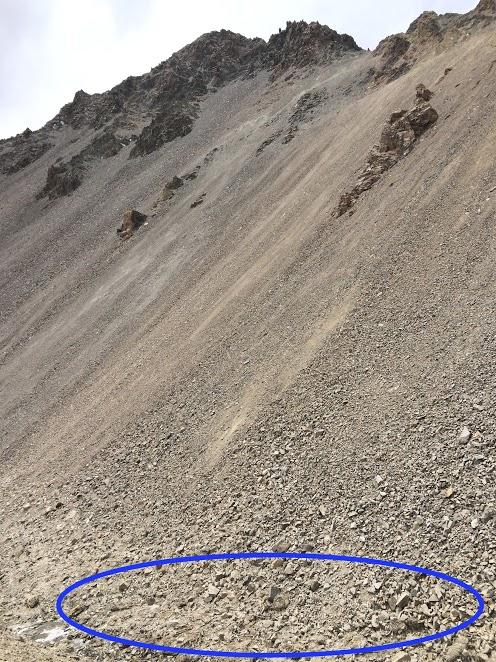 A Warm Day Turns Cold, Snowy, And Wet