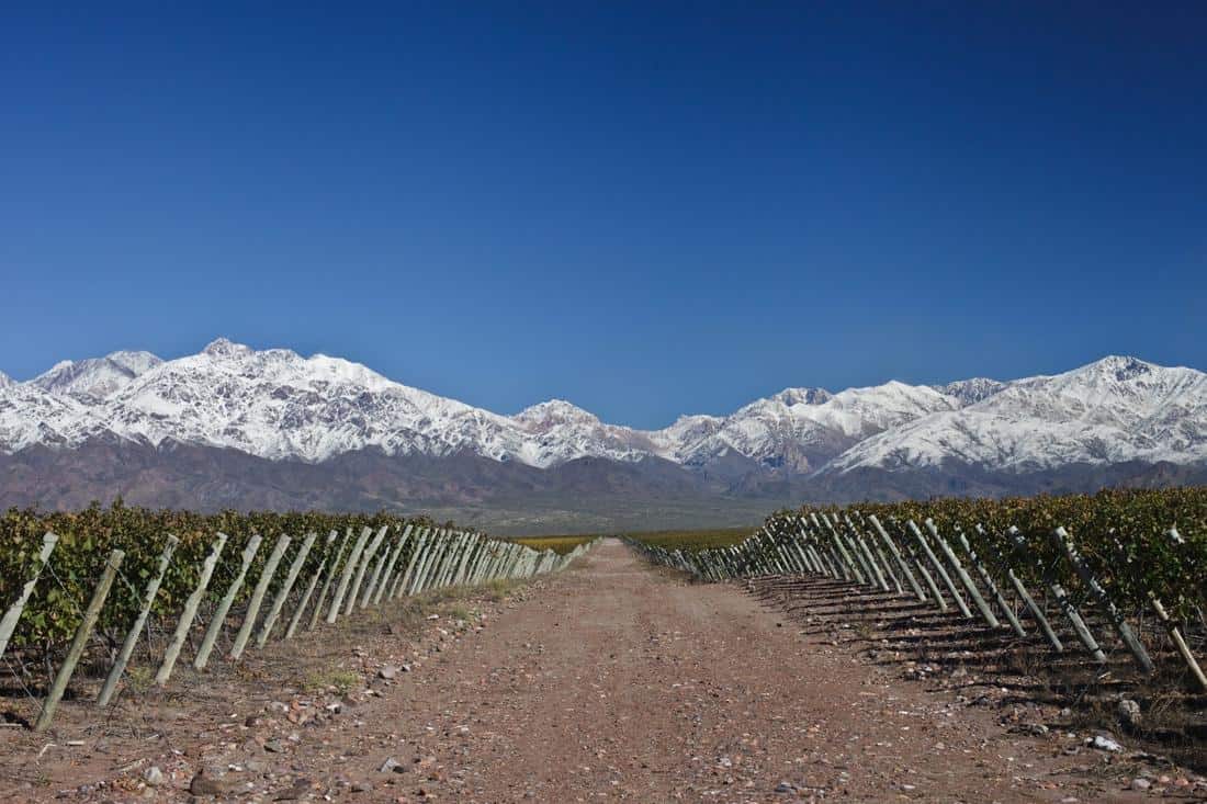 Mendoza’s Uco Valley Vineyard in Argentina with mountains in the background