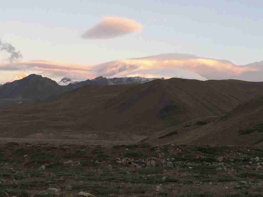 Argentine Wines and Homes in a Vineyard