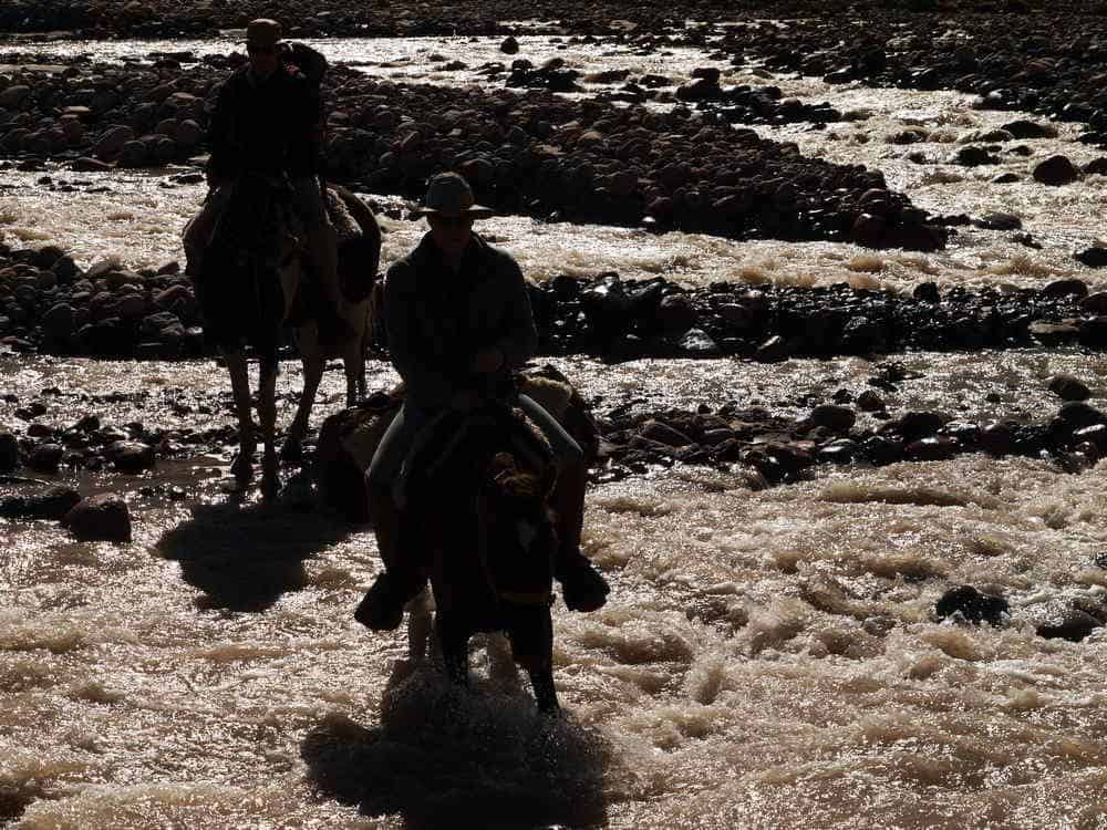 Argentina Vineyard Estates