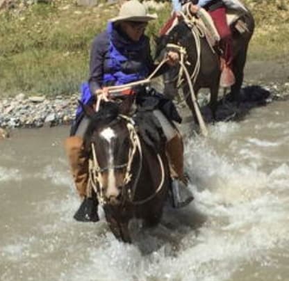 Argentine Wines and Homes in a Vineyard