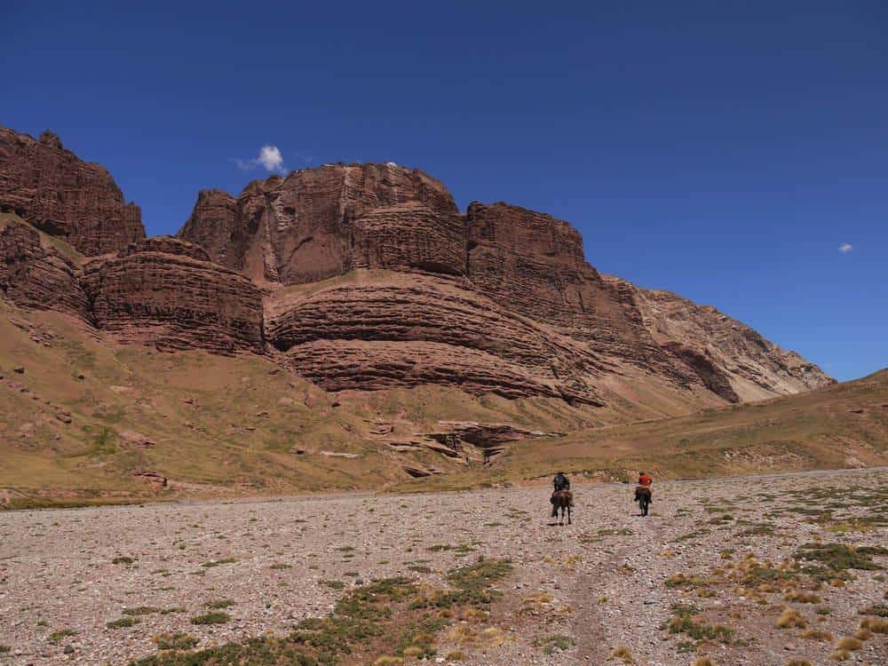 Argentina Vineyard Estates