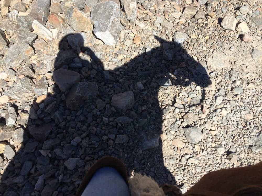 Argentina Vineyard Estates