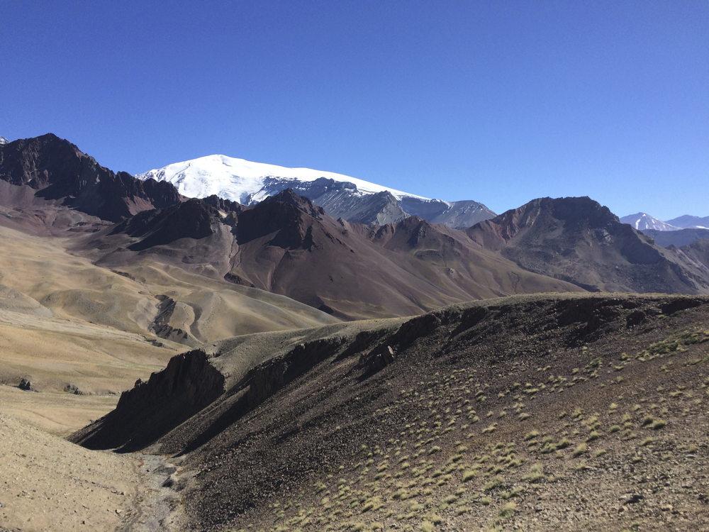 Argentina Vineyard Estates