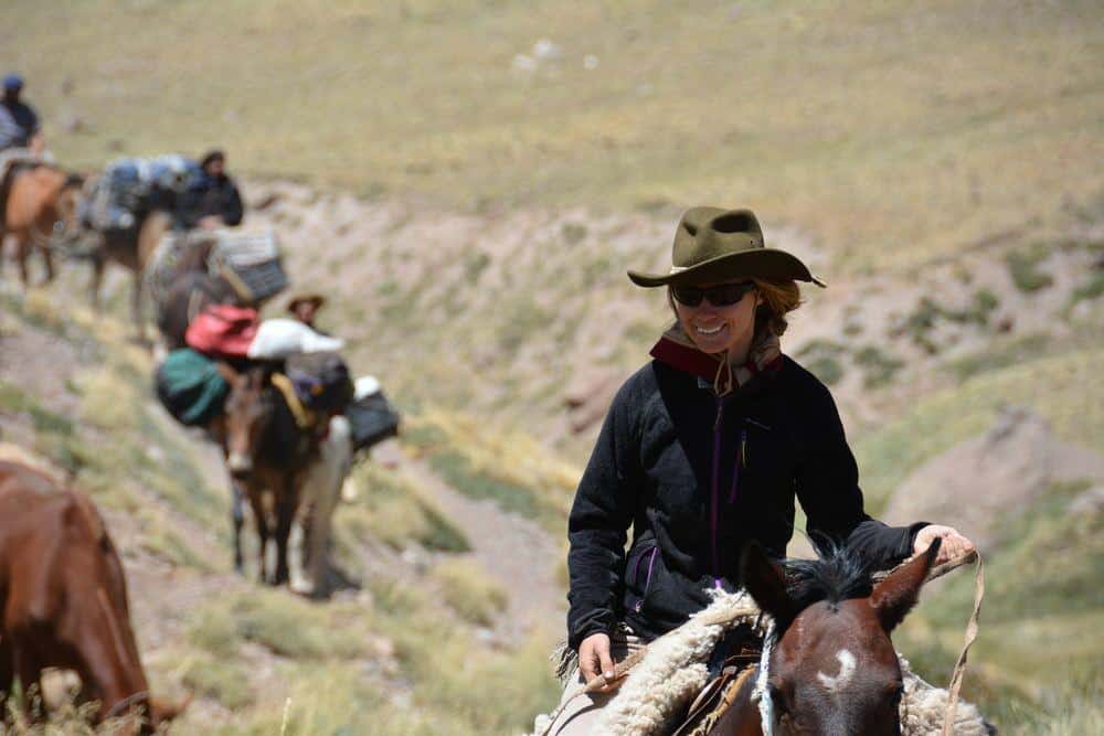 Argentina Vineyard Estates