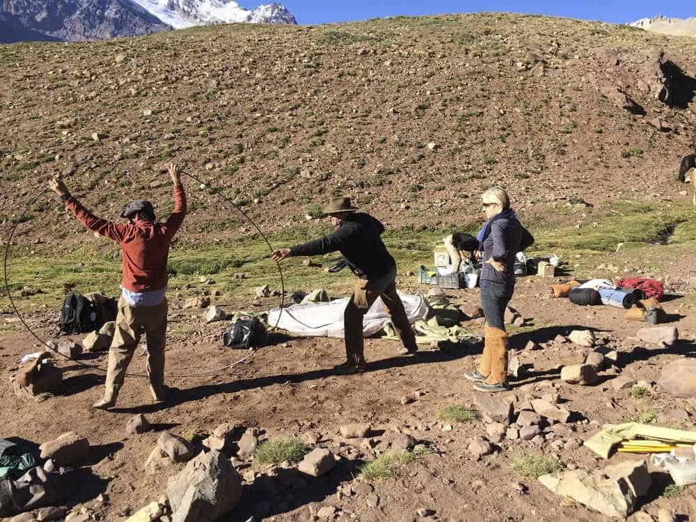 Argentina Vineyard Estates