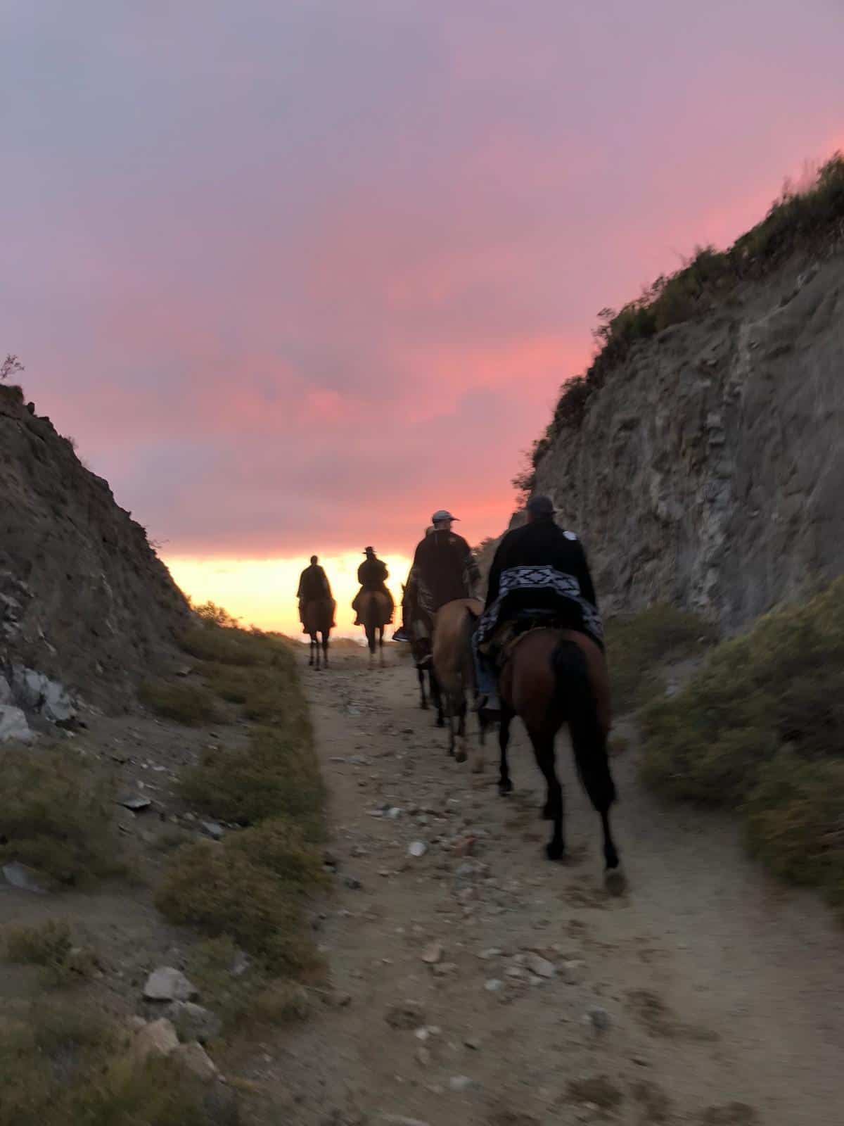 Argentina Vineyard Estates