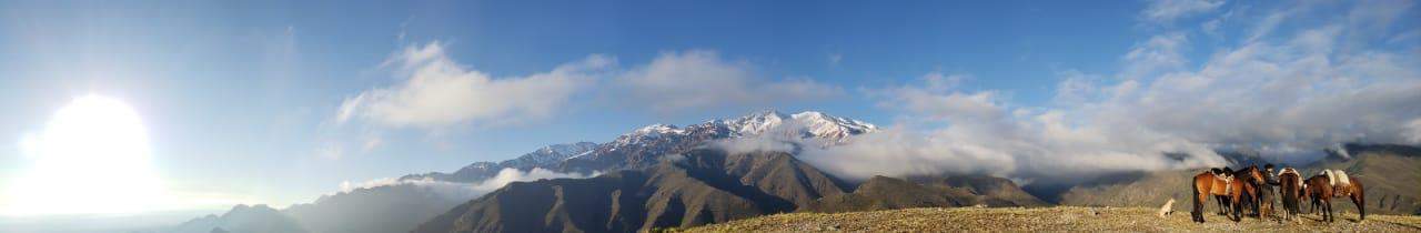 Argentina Vineyard Estates