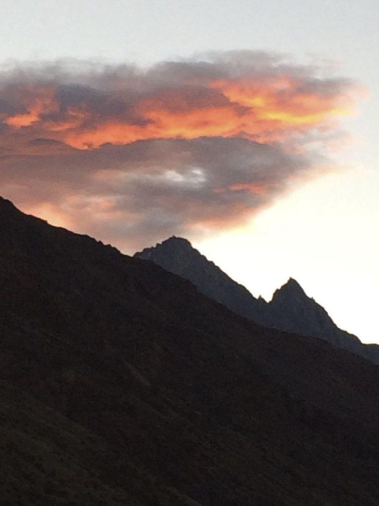 Argentine Wines and Homes in a Vineyard