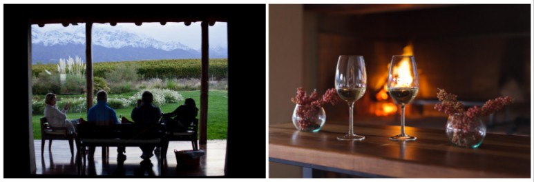 Argentina Vineyard Estates