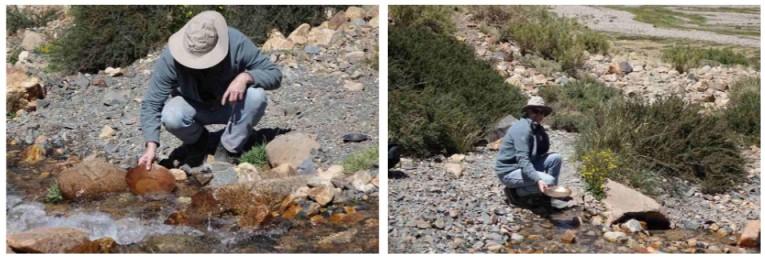 Argentine Wines and Homes in a Vineyard