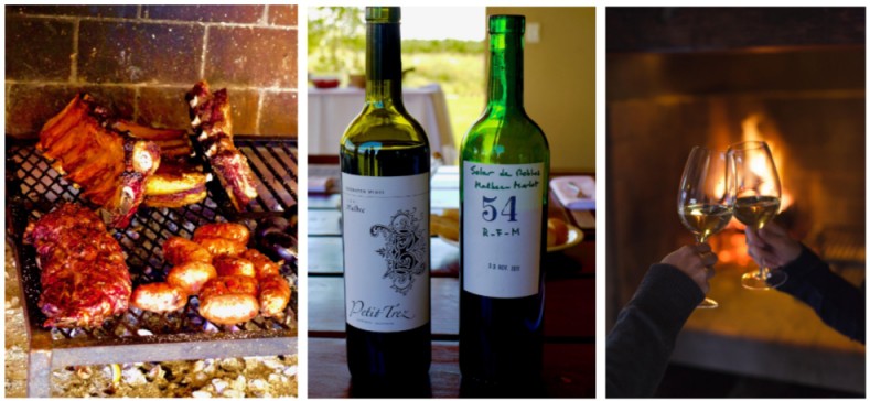 Argentine Wines and Homes in a Vineyard