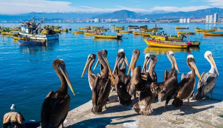 Popular Expat Cities in Chile - Escape Artist