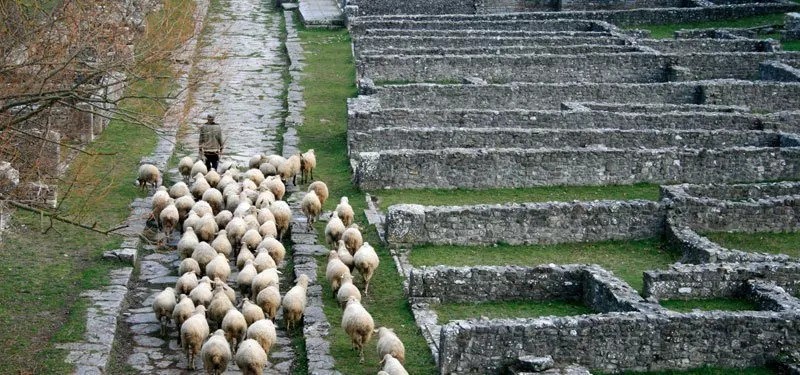 Authentic Italy