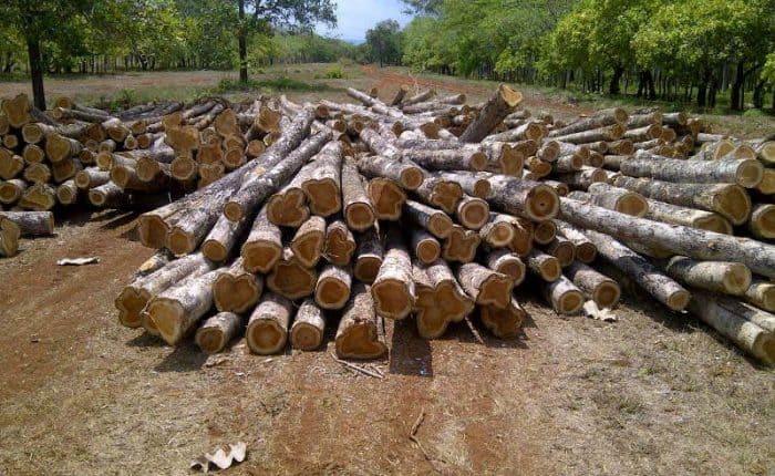 us-tax-cuts-2020-us-economic-policy-and-thoughts-on-teak-hardwood
