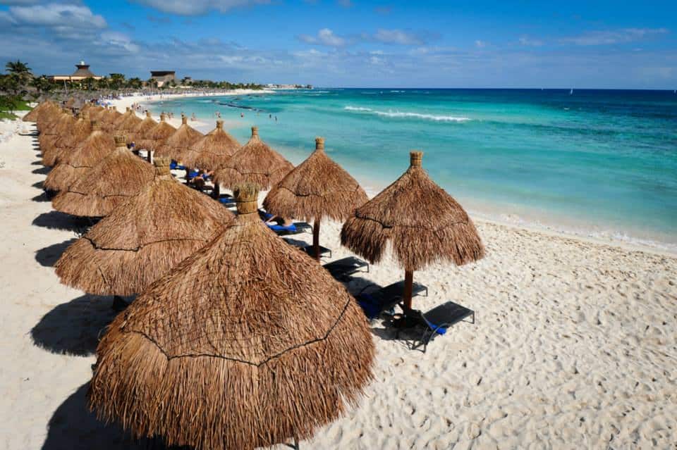 two rows of thatch umbrellas along a shore