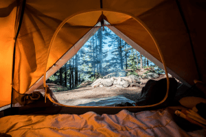 Outside view from inside your tent