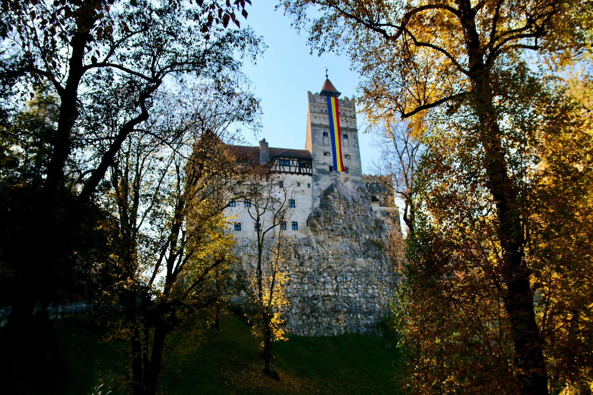 Castle looking through a forest