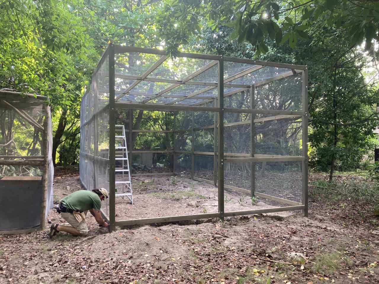 aviary under construction