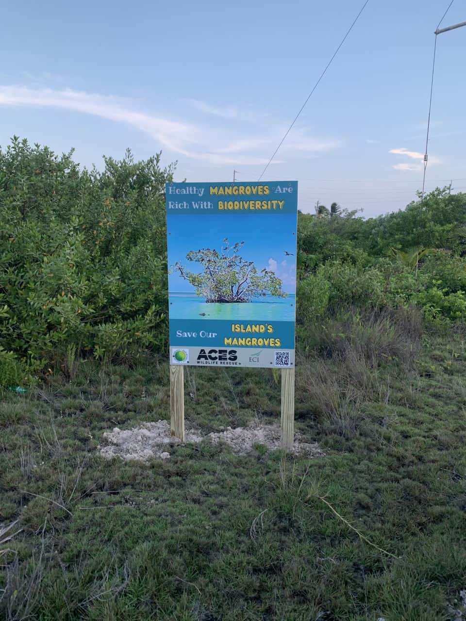 mangrove sign 