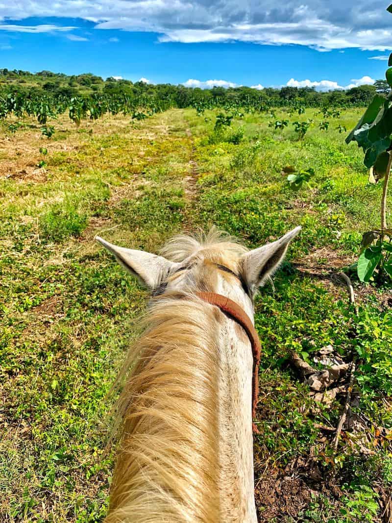 Riding to the Teak Farms in Nicaragua