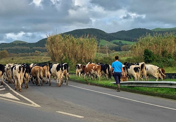 Azores