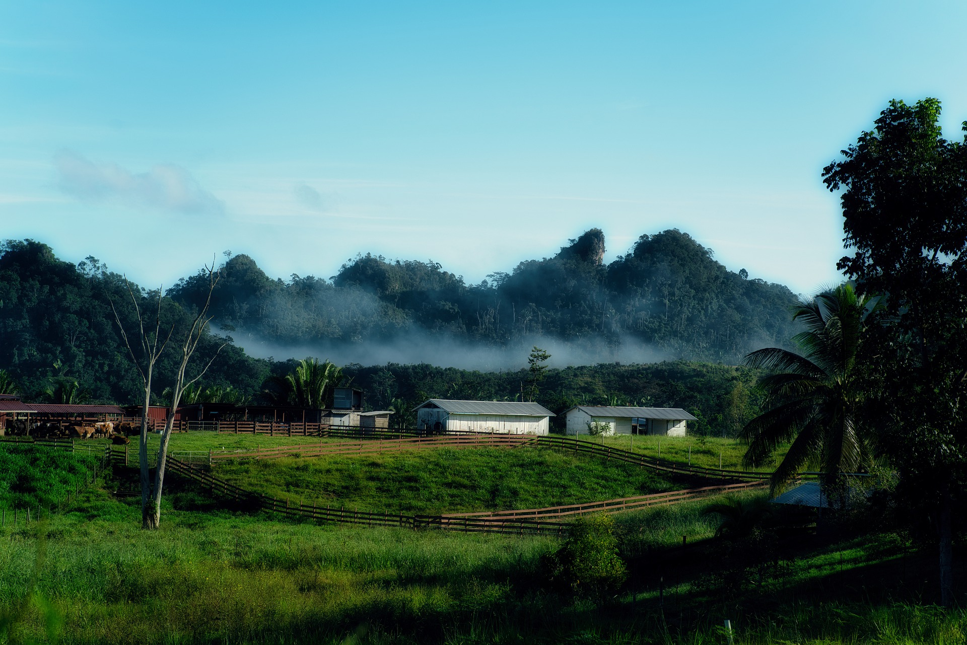 House in Belize