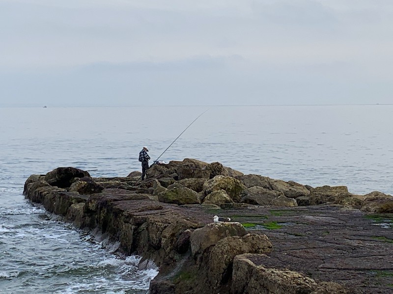 Man Fishing on the Pier