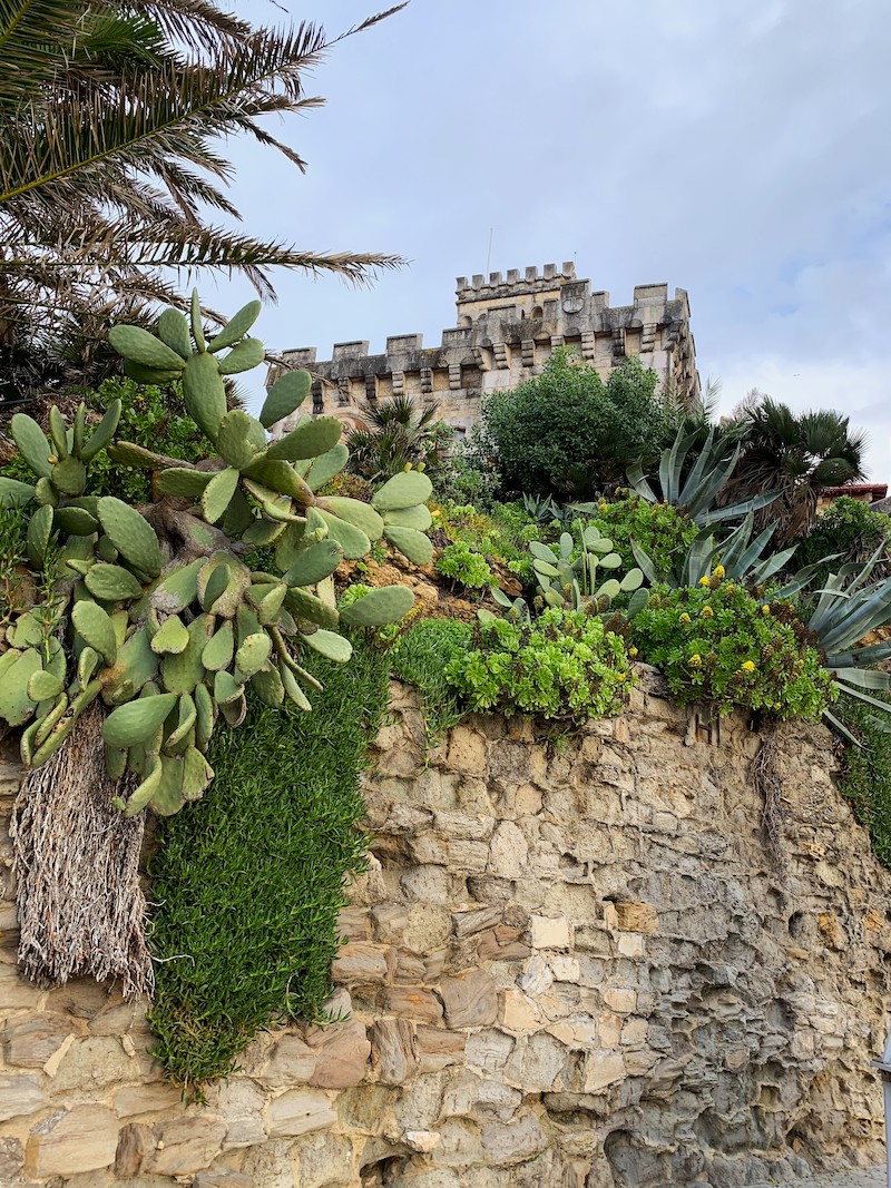 Wall in Cascais
