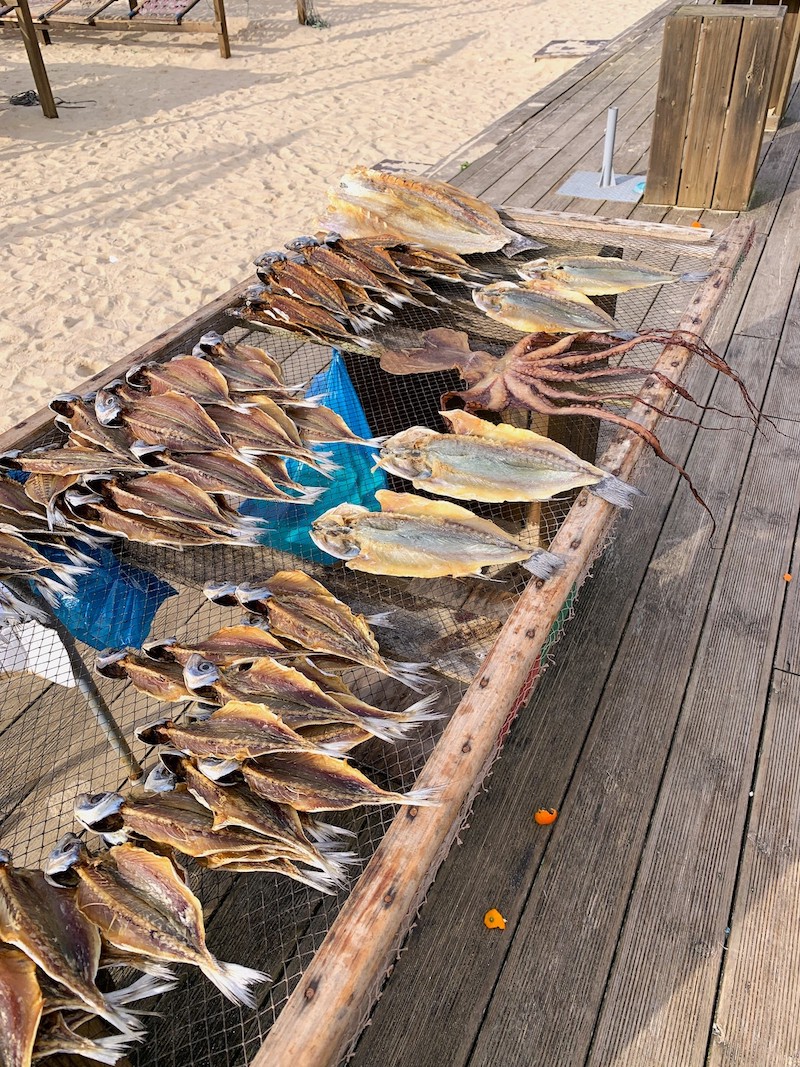 Nazare fish museum