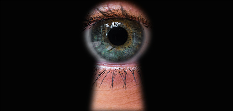 Escape Artist Insiders: Inside our June 2023 “Your Privacy Toolkit” Issue