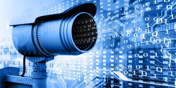 Escape Artist Insiders: Inside our June 2023 “Your Privacy Toolkit” Issue