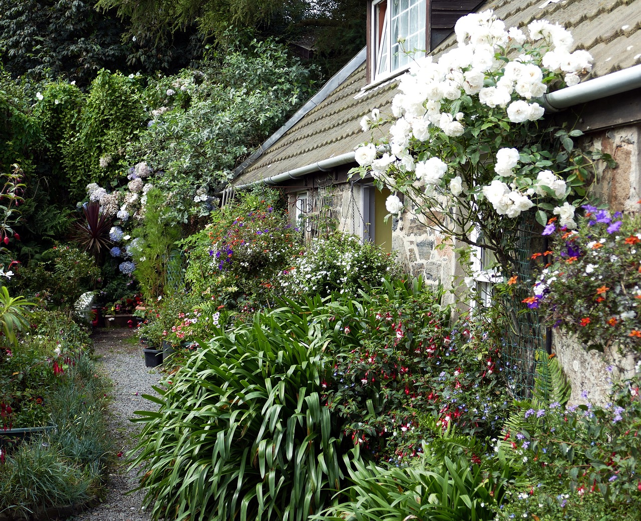 Discover the Isle of Sark: A Hidden Gem Worth Calling Home