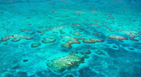 A Tropical Paradise with World-Class Healthcare and Medical Tourism Opportunities by Tracy Griffith