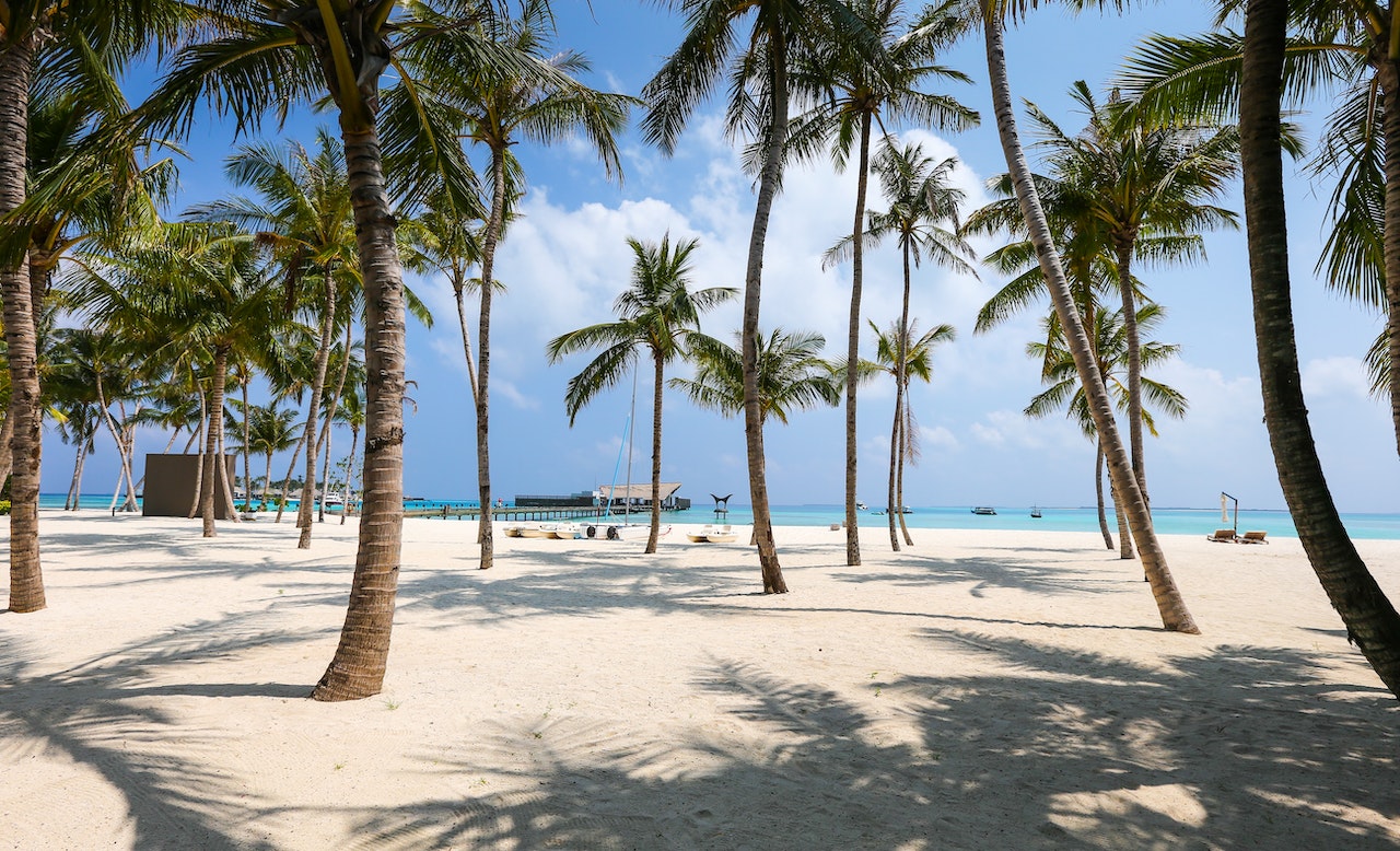 Tropical Dreams: 9 Ways to Get Your Spouse Excited About Moving Overseas
