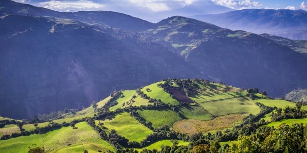 Top 4 Expat Destinations with the Best Weather