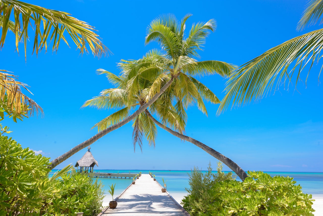 Tropical Dreams: 9 Ways to Get Your Spouse Excited About Moving Overseas