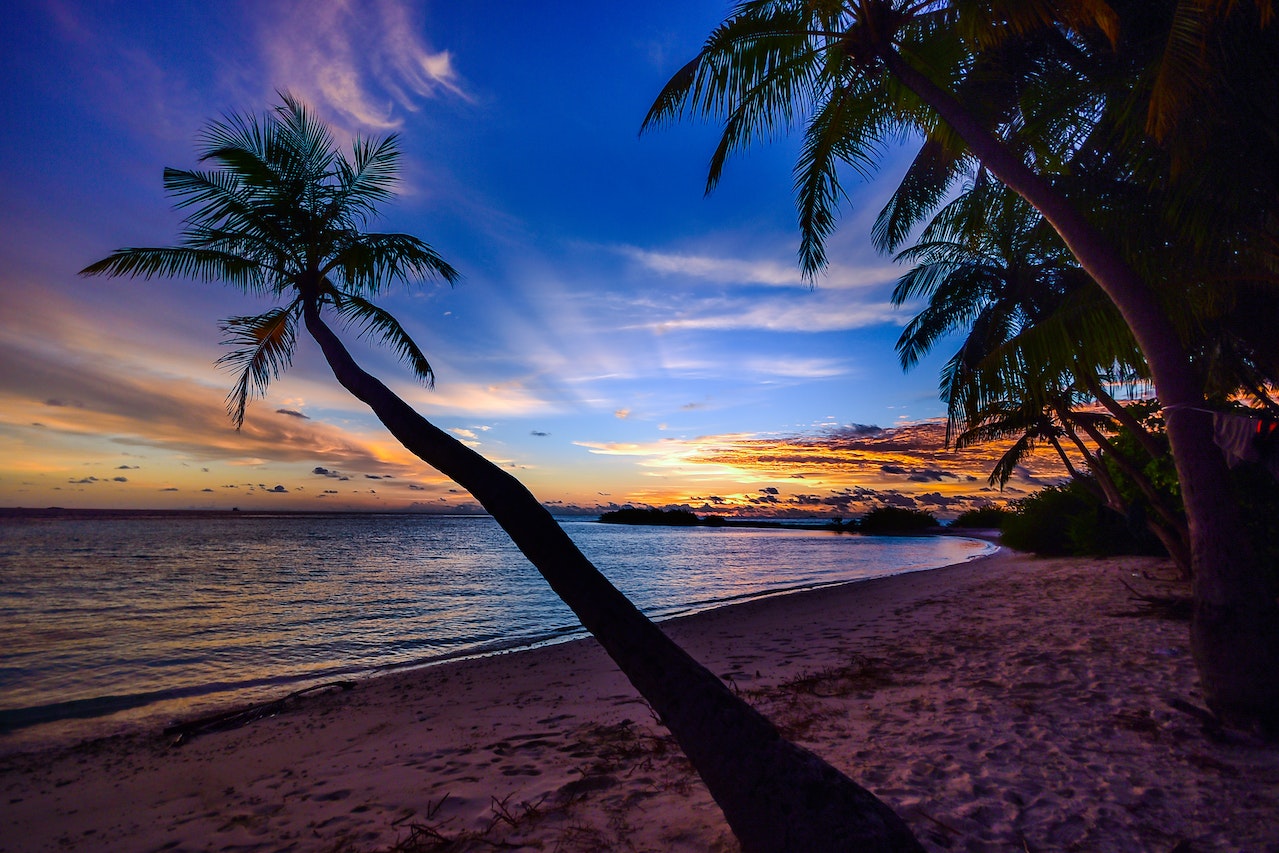 Tropical Dreams: 9 Ways to Get Your Spouse Excited About Moving Overseas