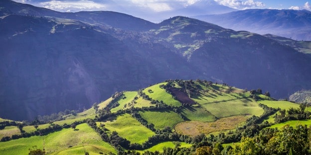 Ecuador