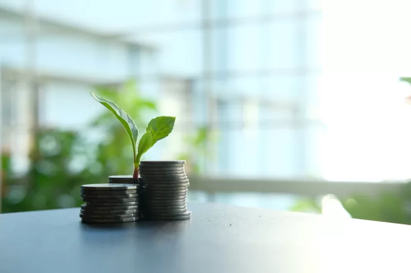 Safeguard Your Wealth with Global Diversification