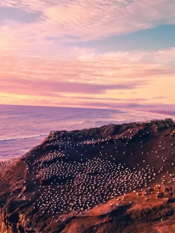 Top 10 Things to Know if You’re Moving to New Zealand