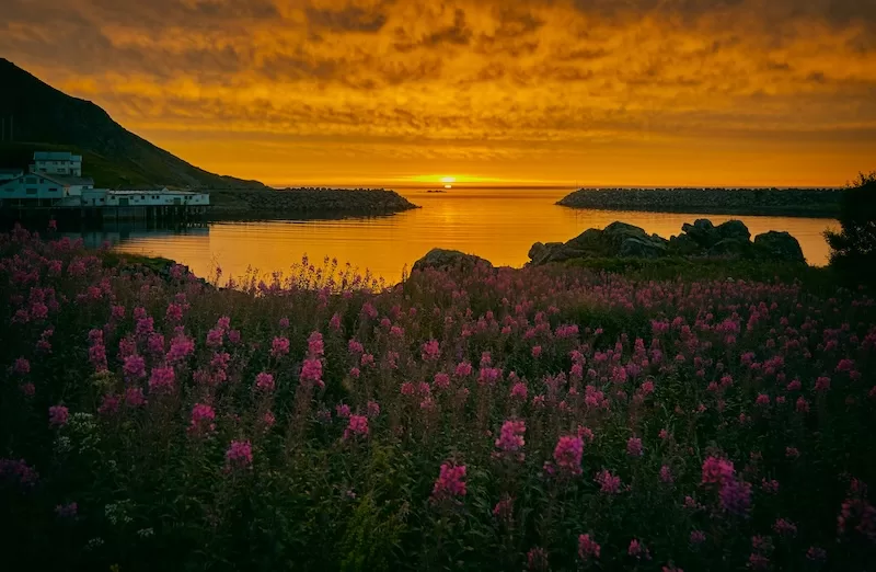 In the far North, the sun barely sets. 