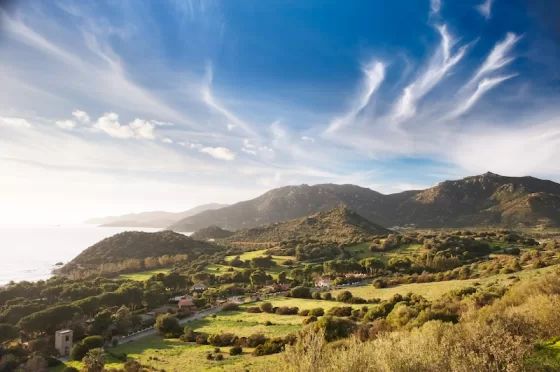 Life in Sardinia unfolds in stillness, season, and sun.