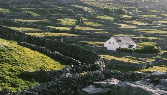 Rolling emerald fields and soft skies in County Kerry.