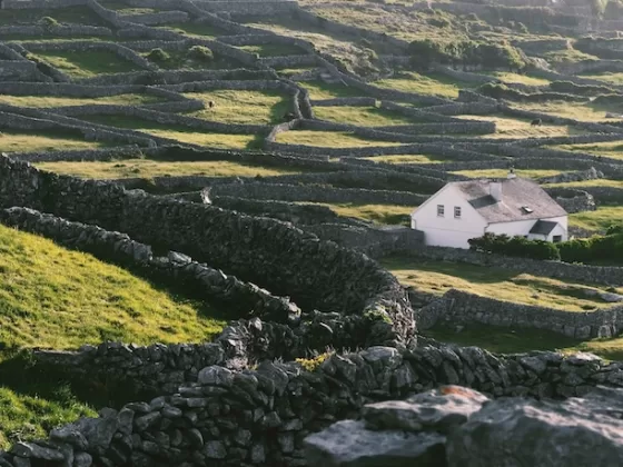 Rolling emerald fields and soft skies in County Kerry.